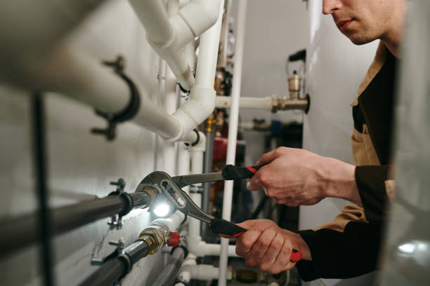 Best Leak Detection Services  in Boles Acres, NM