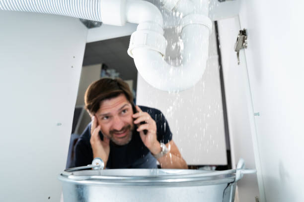 Best Toilet Repair Services  in Boles Acres, NM