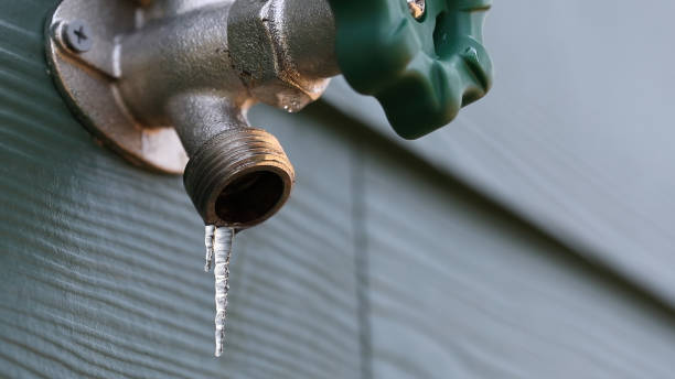 Best Sprinkler Systems  in Boles Acres, NM