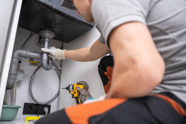 Best Clogged Drain Plumber  in Boles Acres, NM