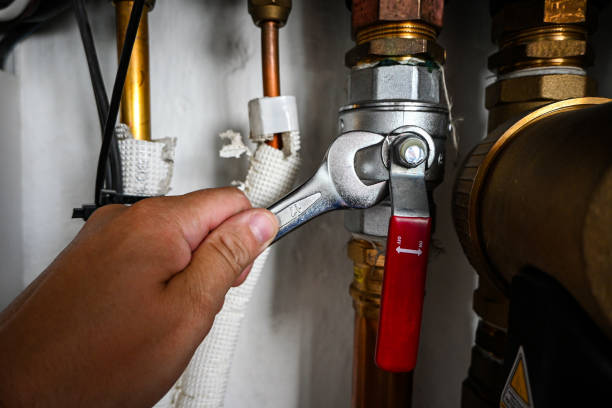 Best 24-Hour Plumber Near Me  in Boles Acres, NM